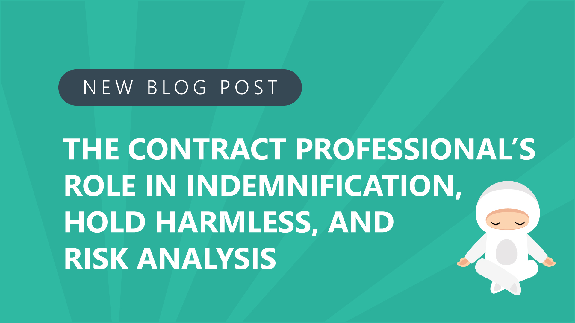 3 the contract professionals role in indemnification hold harmless and risk analysis