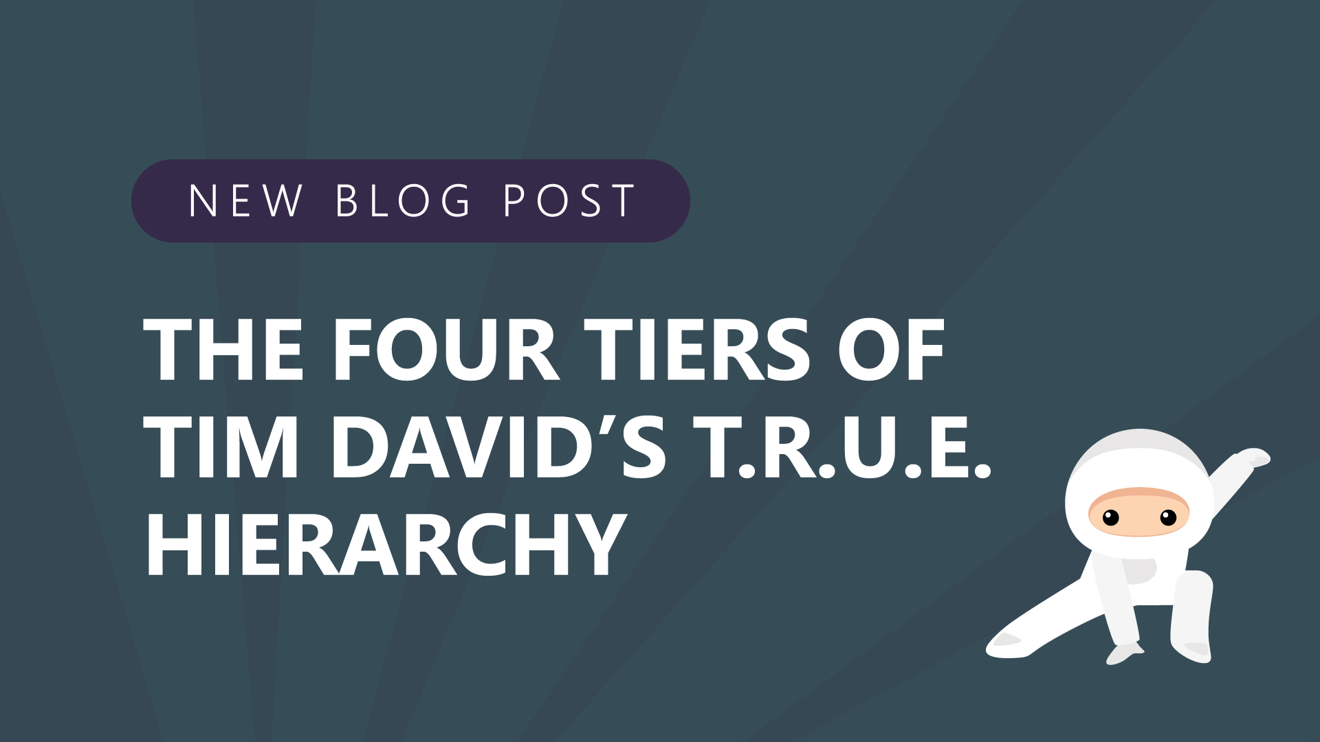 44-The-Four-Tiers-of-Tim-Davids-T.R.U.E.-Hierarchy.jpg